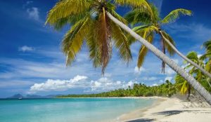 Pourquoi choisir la plage des Salines au Gosier pour vos vacances en Guadeloupe : l’atout Villas Bellevue
