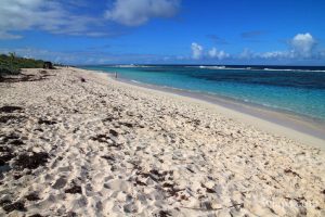 Pourquoi le Gosier et la plage des Salines sont une base idéale pour découvrir toute la Guadeloupe en villa
